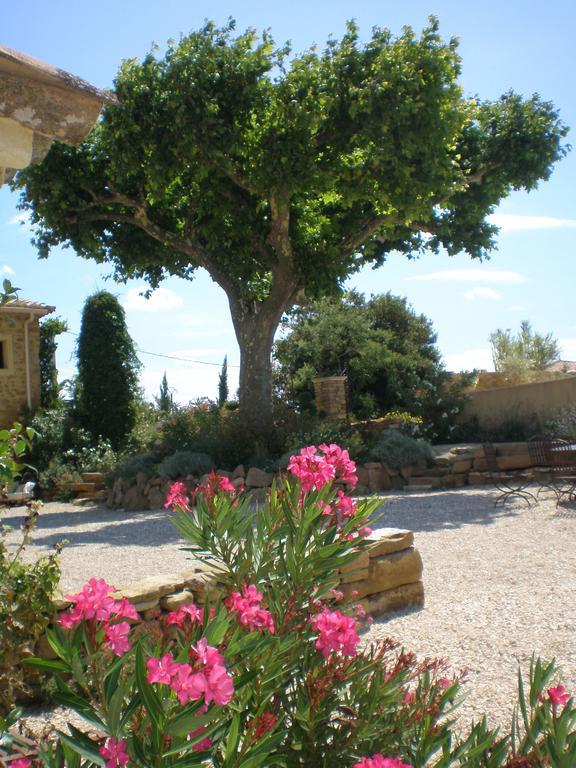 Le Clos Saint Saourde Beaumes-de-Venise Exterior photo